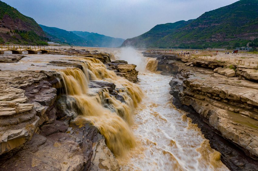 陜西壺口瀑布現(xiàn)“金瀑飛流”奇觀。黃河壺口瀑布旅游區(qū)供圖