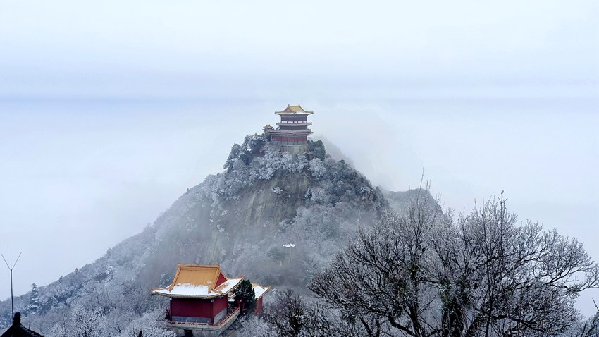 春雪落秦嶺，銀裝素裹美如畫。張玉龍 攝