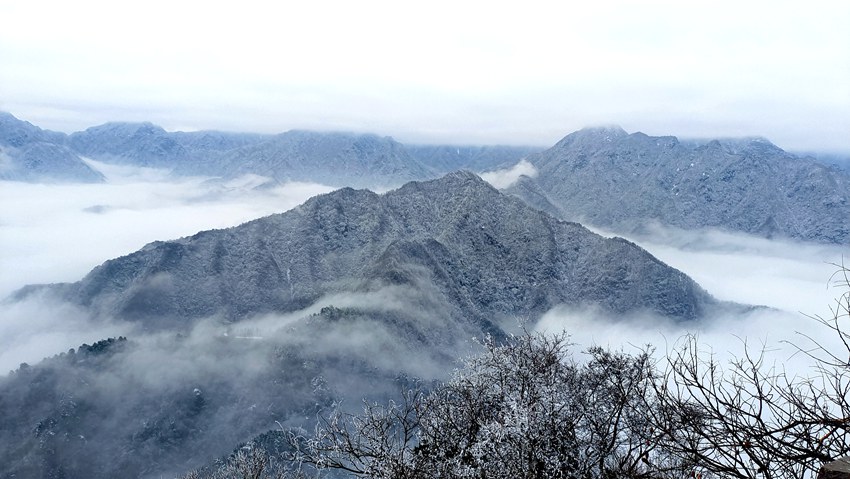 春雪落秦嶺，銀裝素裹美如畫。張玉龍 攝