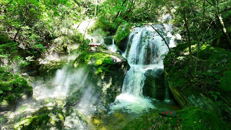 青山綠水牛背梁。牛背梁國家森林公園供圖