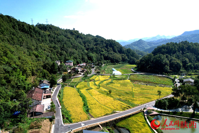 安康市石泉縣城關(guān)鎮(zhèn)絲銀壩村草池灣。人民網(wǎng)黨童 攝