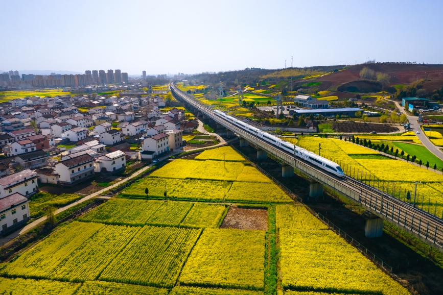 高鐵動(dòng)車組穿越油菜花海。劉一江攝