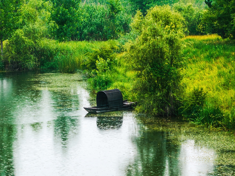 灃河生態(tài)濕地公園。西咸新區(qū)融媒體中心供圖