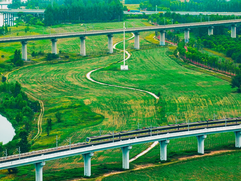 灃河生態(tài)濕地公園。西咸新區(qū)融媒體中心供圖