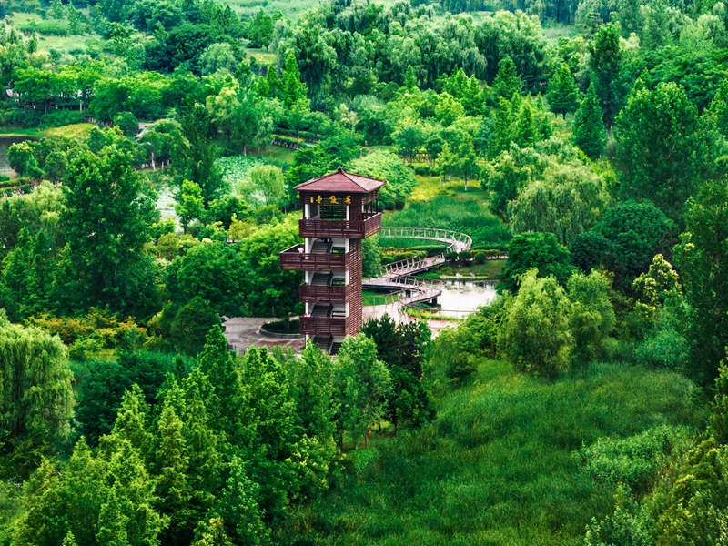 灃河生態(tài)濕地公園。西咸新區(qū)融媒體中心供圖