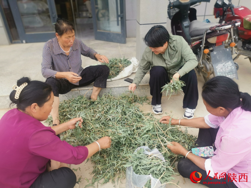 白秀葉（右二）在村委大院和村民們拉家常。人民網(wǎng) 王麗攝