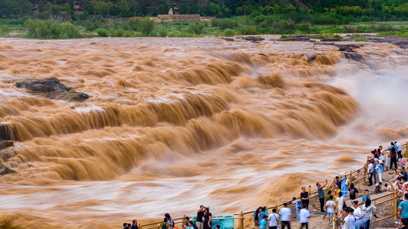 壺口瀑布出現(xiàn)水岸齊平絕色景觀。宋洋波 攝